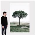 Picture of The Only Tree _GroupedProduct_Rectangle_Portrait_Photography _GroupedProduct_Rectangle_Portrait_Canvas_
