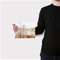 Picture of Neutral Grasses _GroupedProduct_Rectangle_Landscape_Photography _GroupedProduct_Rectangle_Landscape_Canvas_