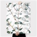 Picture of Eucalyptus Vine _GroupedProduct_Rectangle_Portrait_Photography _GroupedProduct_Rectangle_Portrait_Canvas_