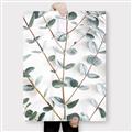 Picture of Eucalyptus Vine _GroupedProduct_Rectangle_Portrait_Photography _GroupedProduct_Rectangle_Portrait_Canvas_