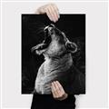 Picture of Yawning lion _GroupedProduct_Rectangle_Portrait_Photography _GroupedProduct_Rectangle_Portrait_Canvas_