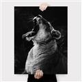 Picture of Yawning lion _GroupedProduct_Rectangle_Portrait_Photography _GroupedProduct_Rectangle_Portrait_Canvas_