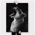 Picture of Yawning lion _GroupedProduct_Rectangle_Portrait_Photography _GroupedProduct_Rectangle_Portrait_Canvas_