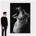 Picture of Yawning lion _GroupedProduct_Rectangle_Portrait_Photography _GroupedProduct_Rectangle_Portrait_Canvas_