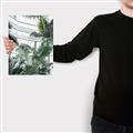 Picture of Tropical Greenhouse ll _GroupedProduct_Rectangle_Portrait_Photography _GroupedProduct_Rectangle_Portrait_Canvas_
