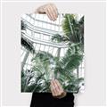 Picture of Tropical Greenhouse ll _GroupedProduct_Rectangle_Portrait_Photography _GroupedProduct_Rectangle_Portrait_Canvas_
