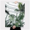 Picture of Tropical Greenhouse ll _GroupedProduct_Rectangle_Portrait_Photography _GroupedProduct_Rectangle_Portrait_Canvas_