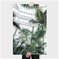 Picture of Tropical Greenhouse ll _GroupedProduct_Rectangle_Portrait_Photography _GroupedProduct_Rectangle_Portrait_Canvas_