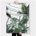 Picture of Tropical Greenhouse ll _GroupedProduct_Rectangle_Portrait_Photography _GroupedProduct_Rectangle_Portrait_Canvas_