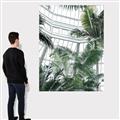 Picture of Tropical Greenhouse ll _GroupedProduct_Rectangle_Portrait_Photography _GroupedProduct_Rectangle_Portrait_Canvas_