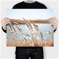 Picture of Fall Beach _GroupedProduct_Rectangle_Landscape_Photography _GroupedProduct_Rectangle_Landscape_Canvas_