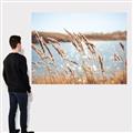 Picture of Fall Beach _GroupedProduct_Rectangle_Landscape_Photography _GroupedProduct_Rectangle_Landscape_Canvas_