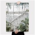 Picture of Green house IV _GroupedProduct_Rectangle_Portrait_Photography _GroupedProduct_Rectangle_Portrait_Canvas_