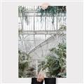 Picture of Green house IV _GroupedProduct_Rectangle_Portrait_Photography _GroupedProduct_Rectangle_Portrait_Canvas_