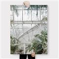 Picture of Green house IV _GroupedProduct_Rectangle_Portrait_Photography _GroupedProduct_Rectangle_Portrait_Canvas_