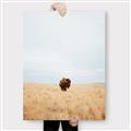 Picture of Field Guy _GroupedProduct_Rectangle_Portrait_Photography _GroupedProduct_Rectangle_Portrait_Canvas_
