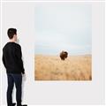 Picture of Field Guy _GroupedProduct_Rectangle_Portrait_Photography _GroupedProduct_Rectangle_Portrait_Canvas_