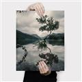 Picture of Tree Reflection _GroupedProduct_Rectangle_Portrait_Photography _GroupedProduct_Rectangle_Portrait_Canvas_