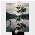 Picture of Tree Reflection _GroupedProduct_Rectangle_Portrait_Photography _GroupedProduct_Rectangle_Portrait_Canvas_