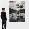 Picture of Tree Reflection _GroupedProduct_Rectangle_Portrait_Photography _GroupedProduct_Rectangle_Portrait_Canvas_