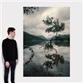 Picture of Tree Reflection _GroupedProduct_Rectangle_Portrait_Photography _GroupedProduct_Rectangle_Portrait_Canvas_