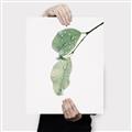 Picture of Dewey leaves _GroupedProduct_Rectangle_Portrait_Photography _GroupedProduct_Rectangle_Portrait_Canvas_