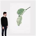 Picture of Dewey leaves _GroupedProduct_Rectangle_Portrait_Photography _GroupedProduct_Rectangle_Portrait_Canvas_