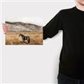 Picture of Mustard Grass Horse _GroupedProduct_Rectangle_Landscape_Photography _GroupedProduct_Rectangle_Landscape_Canvas_