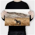 Picture of Mustard Grass Horse _GroupedProduct_Rectangle_Landscape_Photography _GroupedProduct_Rectangle_Landscape_Canvas_
