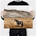Picture of Mustard Grass Horse _GroupedProduct_Rectangle_Landscape_Photography _GroupedProduct_Rectangle_Landscape_Canvas_