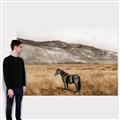 Picture of Mustard Grass Horse _GroupedProduct_Rectangle_Landscape_Photography _GroupedProduct_Rectangle_Landscape_Canvas_