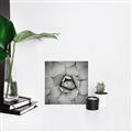 Picture of Eye of the Succulent _GroupedProduct_Square_Photography _GroupedProduct_Square_Canvas_