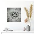 Picture of Eye of the Succulent _GroupedProduct_Square_Photography _GroupedProduct_Square_Canvas_