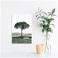 Picture of The Only Tree _GroupedProduct_Rectangle_Portrait_Photography _GroupedProduct_Rectangle_Portrait_Canvas_