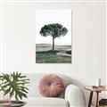 Picture of The Only Tree _GroupedProduct_Rectangle_Portrait_Photography _GroupedProduct_Rectangle_Portrait_Canvas_