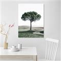Picture of The Only Tree _GroupedProduct_Rectangle_Portrait_Photography _GroupedProduct_Rectangle_Portrait_Canvas_