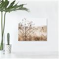 Picture of Neutral Grasses _GroupedProduct_Rectangle_Landscape_Photography _GroupedProduct_Rectangle_Landscape_Canvas_
