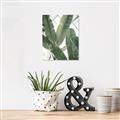 Picture of Banana Plant _GroupedProduct_Rectangle_Portrait_Photography _GroupedProduct_Rectangle_Portrait_Canvas_