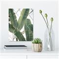 Picture of Banana Plant _GroupedProduct_Rectangle_Portrait_Photography _GroupedProduct_Rectangle_Portrait_Canvas_