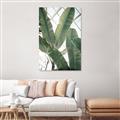 Picture of Banana Plant _GroupedProduct_Rectangle_Portrait_Photography _GroupedProduct_Rectangle_Portrait_Canvas_