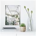 Picture of Tropical Greenhouse lll _GroupedProduct_Rectangle_Portrait_Photography _GroupedProduct_Rectangle_Portrait_Canvas_