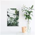 Picture of Tropical Greenhouse ll _GroupedProduct_Rectangle_Portrait_Photography _GroupedProduct_Rectangle_Portrait_Canvas_