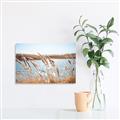 Picture of Fall Beach _GroupedProduct_Rectangle_Landscape_Photography _GroupedProduct_Rectangle_Landscape_Canvas_