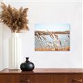 Picture of Fall Beach _GroupedProduct_Rectangle_Landscape_Photography _GroupedProduct_Rectangle_Landscape_Canvas_