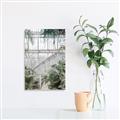 Picture of Green house IV _GroupedProduct_Rectangle_Portrait_Photography _GroupedProduct_Rectangle_Portrait_Canvas_