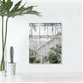 Picture of Green house IV _GroupedProduct_Rectangle_Portrait_Photography _GroupedProduct_Rectangle_Portrait_Canvas_