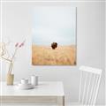 Picture of Field Guy _GroupedProduct_Rectangle_Portrait_Photography _GroupedProduct_Rectangle_Portrait_Canvas_