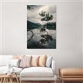 Picture of Tree Reflection _GroupedProduct_Rectangle_Portrait_Photography _GroupedProduct_Rectangle_Portrait_Canvas_