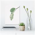 Picture of Dewey leaves _GroupedProduct_Rectangle_Portrait_Photography _GroupedProduct_Rectangle_Portrait_Canvas_