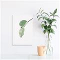 Picture of Dewey leaves _GroupedProduct_Rectangle_Portrait_Photography _GroupedProduct_Rectangle_Portrait_Canvas_